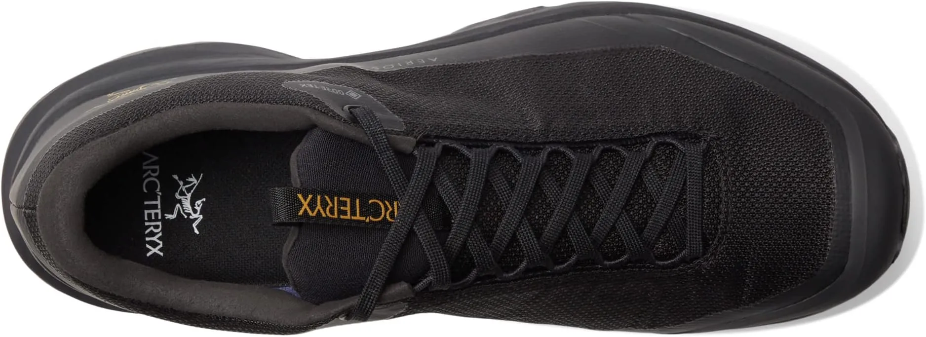 Aerios FL 2 GTX Arc'teryx Hiking Shoes, Black/Black
