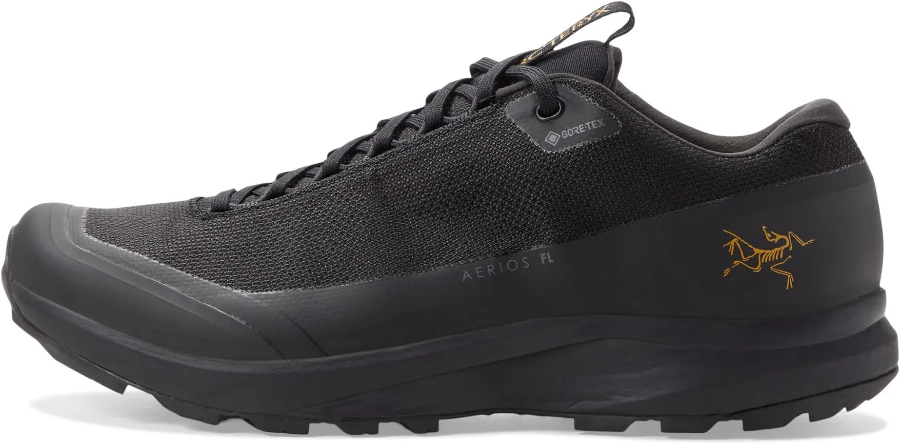 Aerios FL 2 GTX Arc'teryx Hiking Shoes, Black/Black
